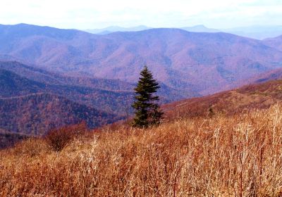 Graveyard Fields 418.8