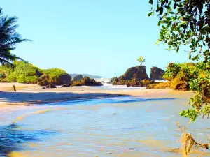 Praia de Tambaba