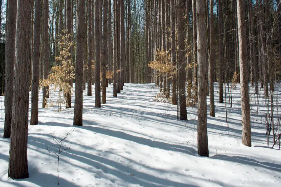 Cross Country Ski Headquarters