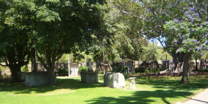 聖巴巴拉植物園