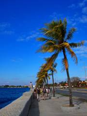 Malecon