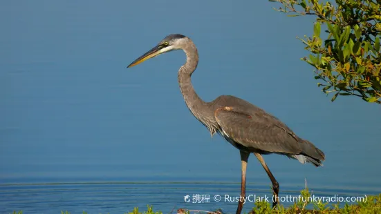 Pelican Island National Wildlife Refuge