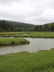 Willapa National Wildlife Refuge