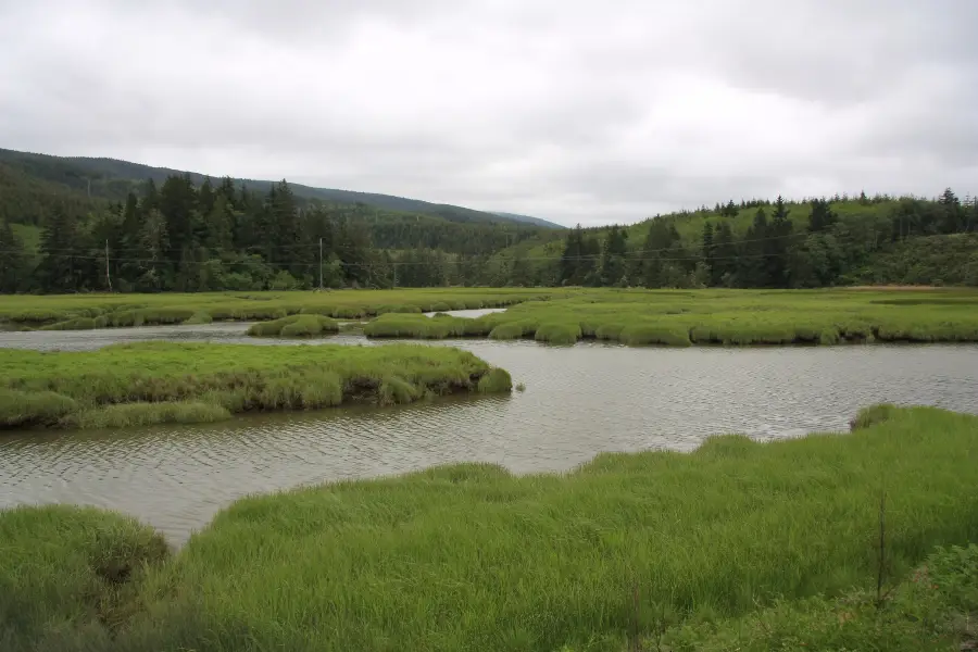 Willapa National Wildlife Refuge