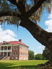 Drayton Hall