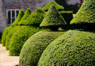 National Trust - Lytes Cary Manor