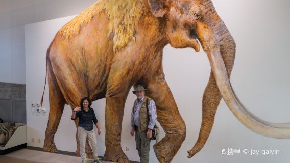 Waco Mammoth National Monument