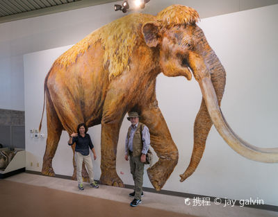 Waco Mammoth National Monument