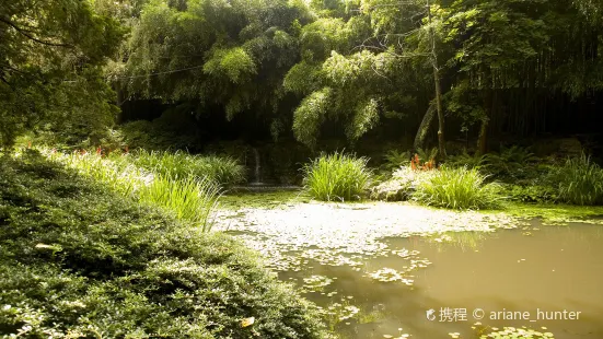 水本日本散歩庭園