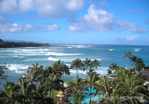 Turtle Bay