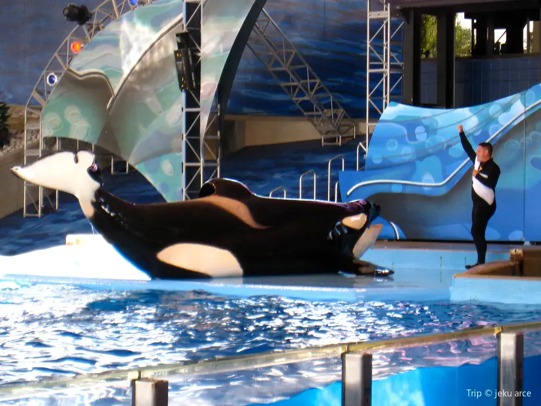 5_SeaWorld San Antonio