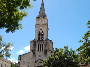 Historic Centre of the Town of Goiás