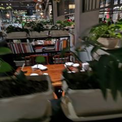 笨雞小跑(金四路店)張用戶圖片