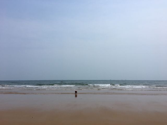 Silver Sands Bathing Beach