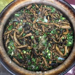 Qiao xiang zui xian lou User Photo