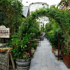 The Grounds of Alexandria User Photo