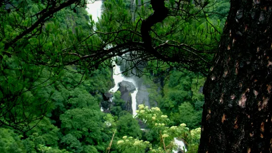 Wanghu Ecology Tourism Area