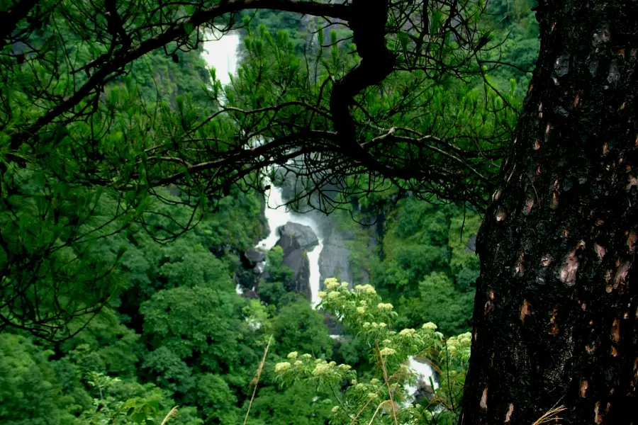 Wanghu Ecology Tourism Area