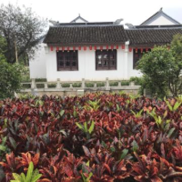 評論圖片 9