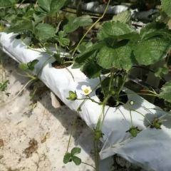 Water Cress Valley User Photo
