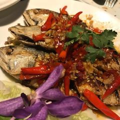 Mai Thai Cuisine User Photo