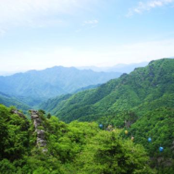 評論圖片 4