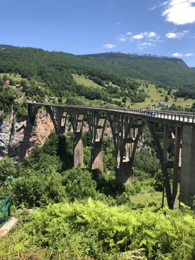 塔拉河大橋