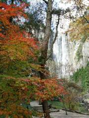 Red Maple Trail