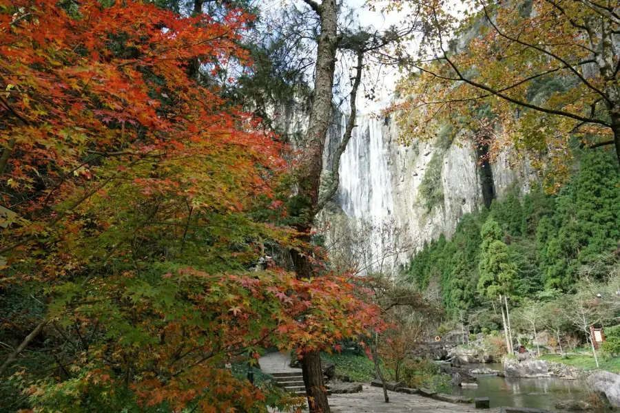 Red Maple Trail