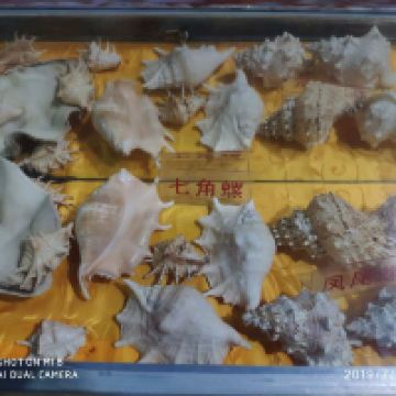 評論圖片 3