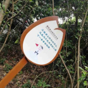 評論圖片 8