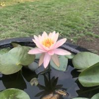 評論圖片 3