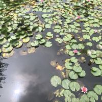 評論圖片 5
