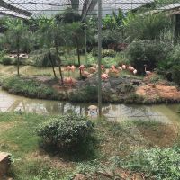 評論圖片 9