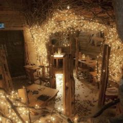 The Treehouse Restaurant User Photo