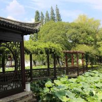 評論圖片 2