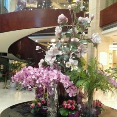 大汉天一欧萝芭自助餐厅 User Photo