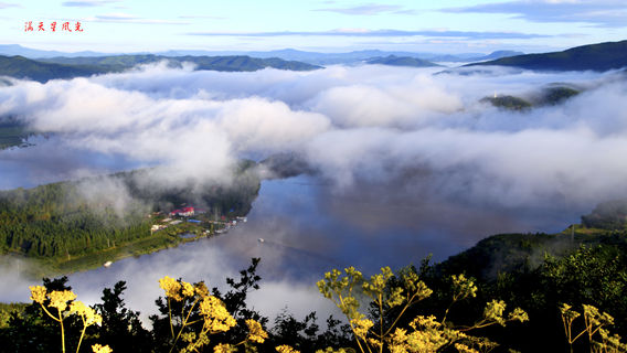 Gypsophila Scenic Area