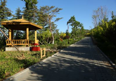 Pingfeng Mountain Park