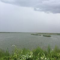 評論圖片 7