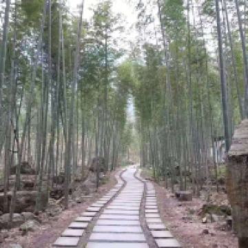 評論圖片 2