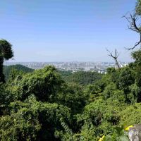 評論圖片 6