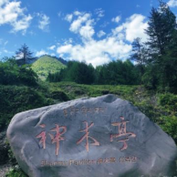 評論圖片 3