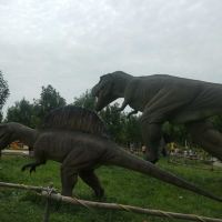 評論圖片 5