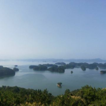 評論圖片 1