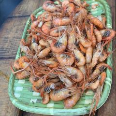 Baiyangdianyufudunza Fish User Photo