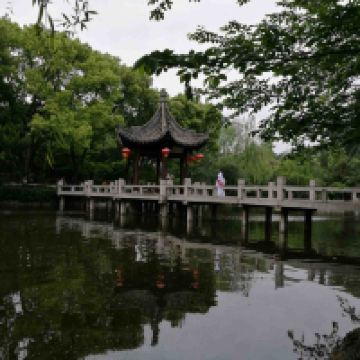 評論圖片 3