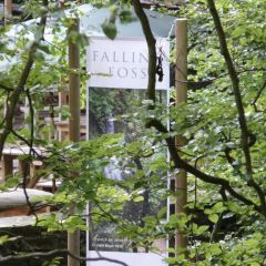 Falling Foss Tea Garden User Photo