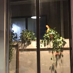 范氏汉堡·食验室(白马路万科里店) User Photo