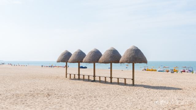 Weihai Private Guided Day Tour Chengshantou Stranded Cargo Ship Bluevis Naxianghai Diamond Beach Bathing Beach